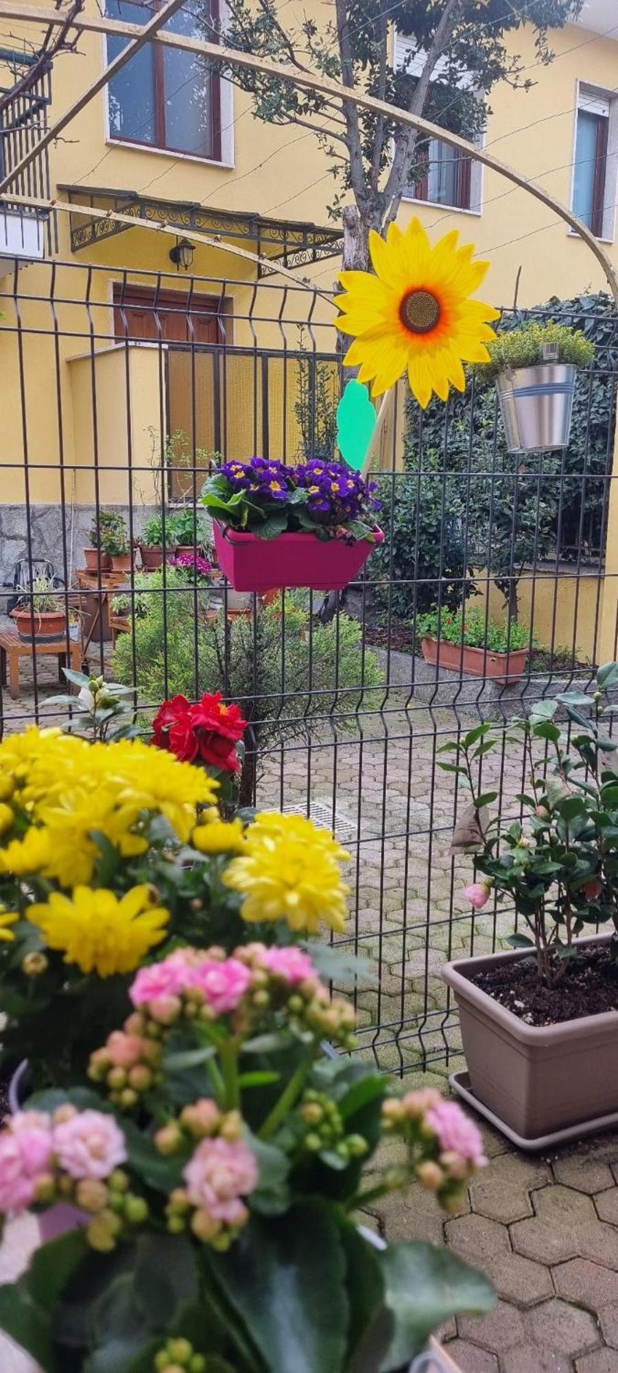 Carta Da Zucchero Venaria Reale Buitenkant foto